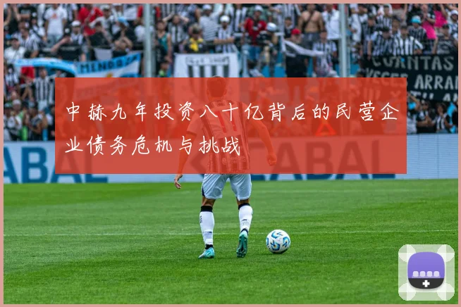 中赫九年投资八十亿背后的民营企业债务危机与挑战