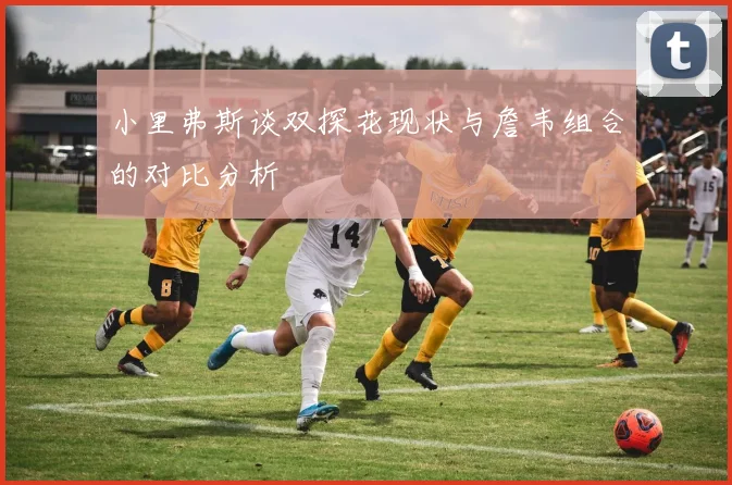 小里弗斯谈双探花现状与詹韦组合的对比分析