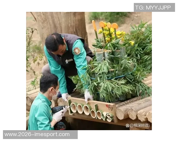 阿尔瓦雷斯社媒分享孩子出生喜讯幸福满满感动无比