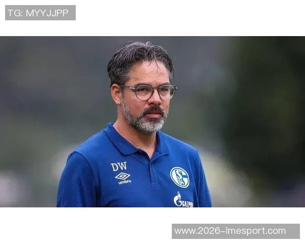 奥格斯堡支付300万欧解约金瓦格纳正式下课引发热议 奥格斯堡支付300万欧解约金瓦格纳正式下课引发热议